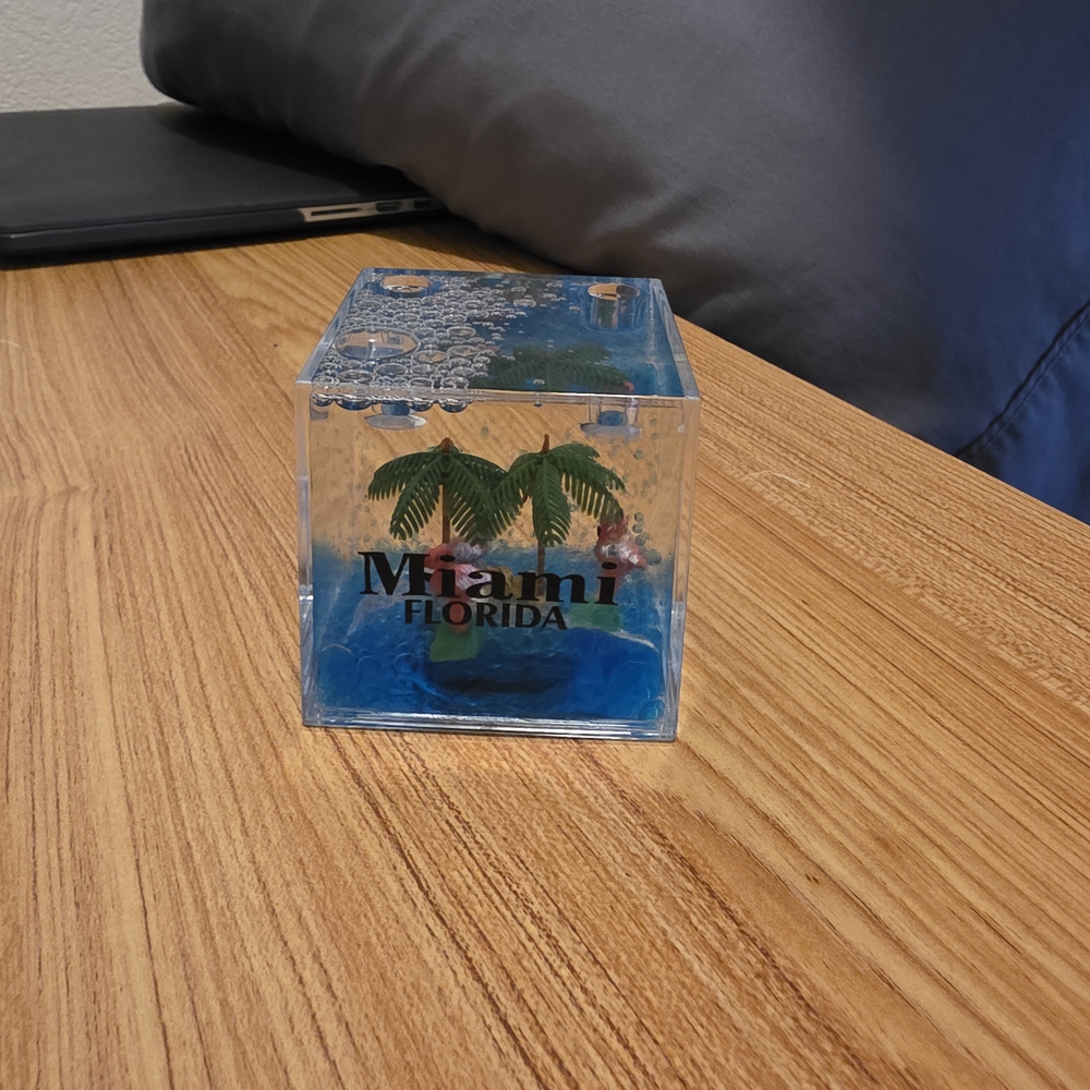 Miami Florida Palm Tree Paperweight